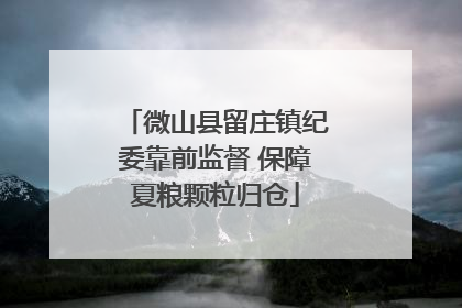 微山县留庄镇纪委靠前监督 保障夏粮颗粒归仓