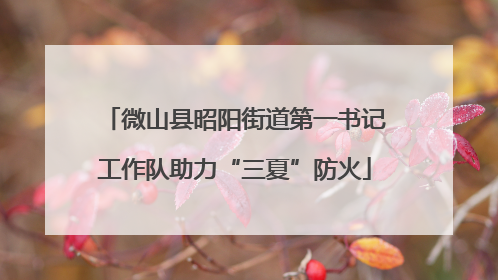 微山县昭阳街道第一书记工作队助力“三夏”防火