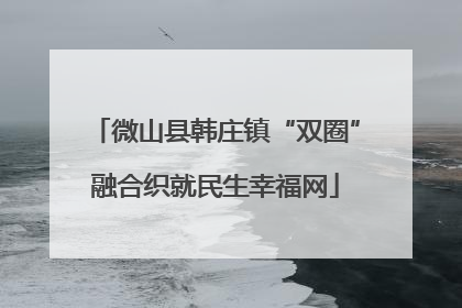 微山县韩庄镇“双圈”融合织就民生幸福网