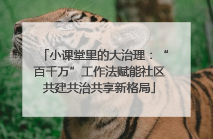 小课堂里的大治理：“百千万”工作法赋能社区共建共治共享新格局