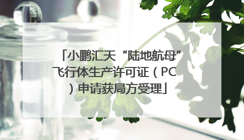 小鹏汇天“陆地航母”飞行体生产许可证（PC）申请获局方受理