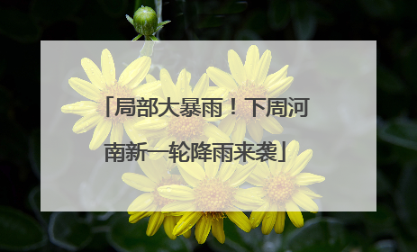 局部大暴雨！下周河南新一轮降雨来袭