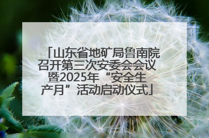山东省地矿局鲁南院召开第三次安委会会议暨2025年“安全生产月”活动启动仪式