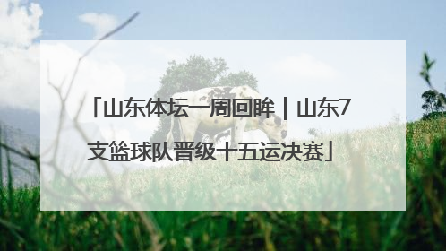 山东体坛一周回眸｜山东7支篮球队晋级十五运决赛