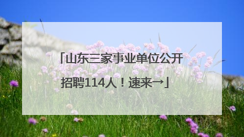 山东三家事业单位公开招聘114人！速来→
