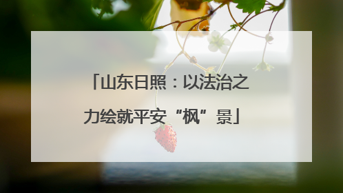 山东日照：以法治之力绘就平安“枫”景