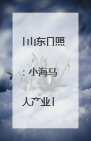 山东日照：小海马 大产业