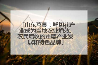 山东莒县：鲜切花产业成为当地农业增效、农民增收的重要产业发展和特色品牌