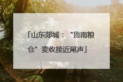 山东郯城：“鲁南粮仓”麦收接近尾声