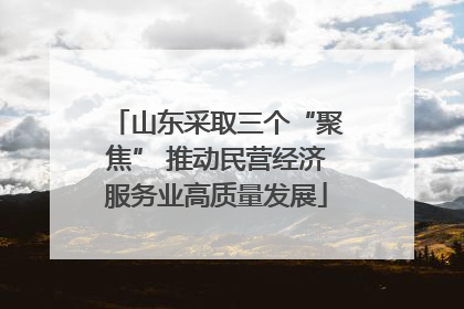 山东采取三个“聚焦” 推动民营经济服务业高质量发展