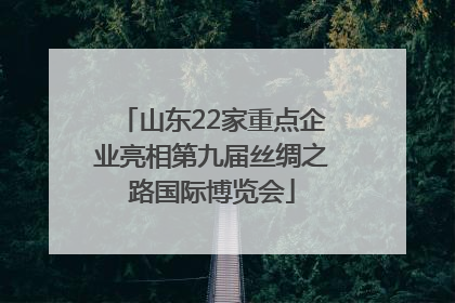山东22家重点企业亮相第九届丝绸之路国际博览会