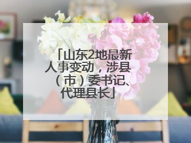山东2地最新人事变动，涉县（市）委书记、代理县长
