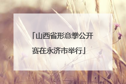 山西省形意拳公开赛在永济市举行