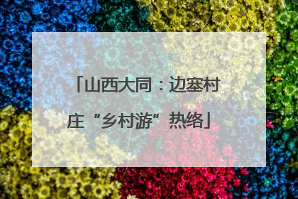 山西大同：边塞村庄“乡村游”热络