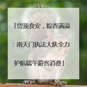 岱顶食安，粽香满溢：南天门执法大队全力护航端午游客消费