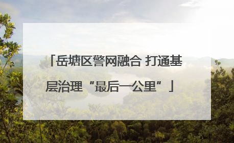 岳塘区警网融合 打通基层治理“最后一公里”
