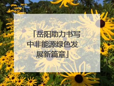 岳阳助力书写中非能源绿色发展新篇章