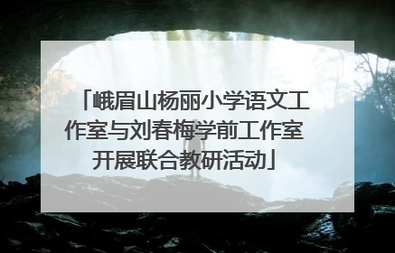 峨眉山杨丽小学语文工作室与刘春梅学前工作室开展联合教研活动