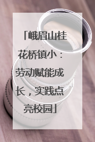 峨眉山桂花桥镇小：劳动赋能成长，实践点亮校园