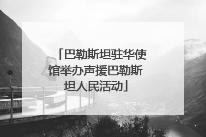 巴勒斯坦驻华使馆举办声援巴勒斯坦人民活动