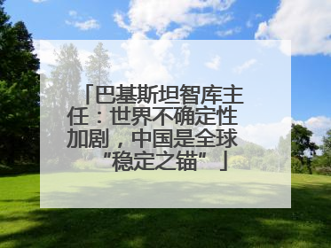 巴基斯坦智库主任：世界不确定性加剧，中国是全球“稳定之锚”