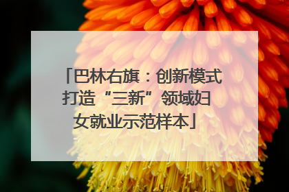 巴林右旗：创新模式 打造“三新”领域妇女就业示范样本