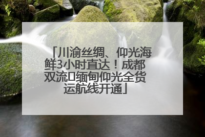 川渝丝绸、仰光海鲜3小时直达！成都双流⇌缅甸仰光全货运航线开通