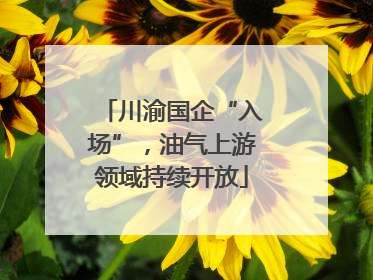 川渝国企“入场”，油气上游领域持续开放