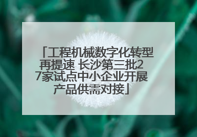 工程机械数字化转型再提速 长沙第三批27家试点中小企业开展产品供需对接
