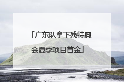 广东队拿下残特奥会夏季项目首金