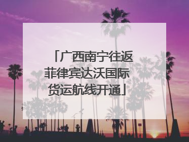 广西南宁往返菲律宾达沃国际货运航线开通