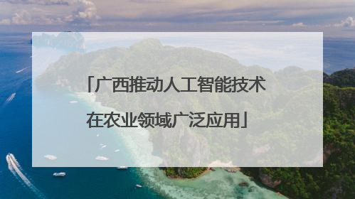 广西推动人工智能技术在农业领域广泛应用