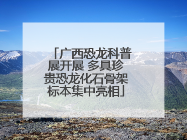 广西恐龙科普展开展 多具珍贵恐龙化石骨架标本集中亮相