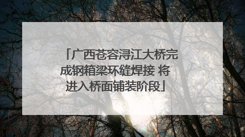 广西苍容浔江大桥完成钢箱梁环缝焊接 将进入桥面铺装阶段