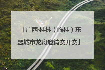 广西·桂林（临桂）东盟城市龙舟邀请赛开赛