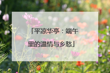 平凉华亭：端午里的温情与乡愁