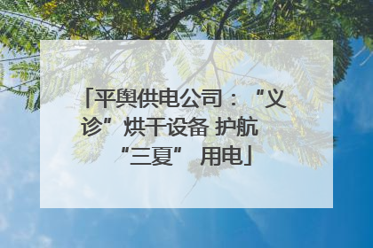 平舆供电公司：“义诊”烘干设备 护航 “三夏” 用电