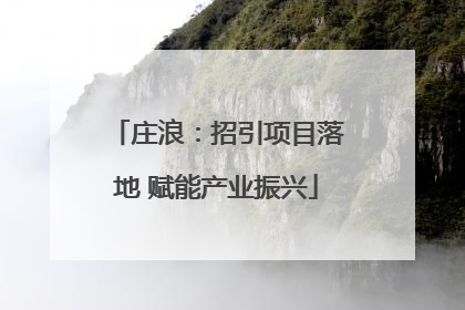庄浪：招引项目落地 赋能产业振兴
