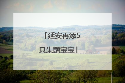 延安再添5只朱鹮宝宝
