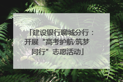 建设银行聊城分行：开展“高考护航·筑梦同行”志愿活动