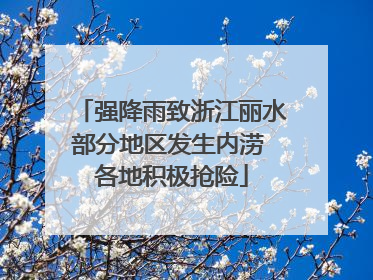 强降雨致浙江丽水部分地区发生内涝 各地积极抢险