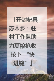 开封杞县苏木乡：驻村工作队助力夏粮抢收按下 “快进键”