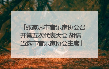 张家界市音乐家协会召开第五次代表大会 胡情当选市音乐家协会主席
