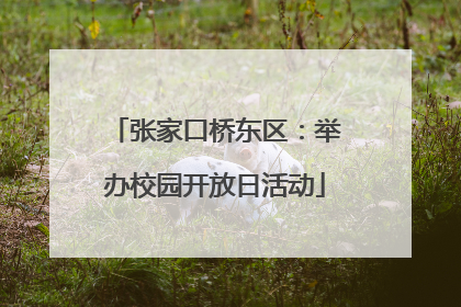 张家口桥东区：举办校园开放日活动