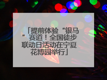 提前体验“银马”赛道！全国徒步联动日活动在宁夏花博园举行