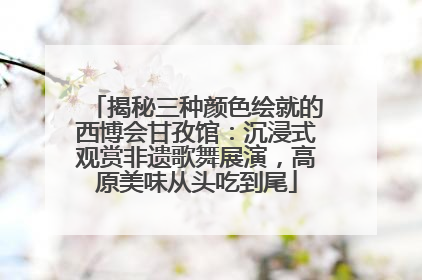 揭秘三种颜色绘就的西博会甘孜馆：沉浸式观赏非遗歌舞展演，高原美味从头吃到尾