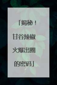 揭秘！甘谷辣椒火爆出圈的密码