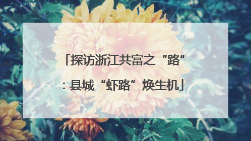 探访浙江共富之“路”：县城“虾路”焕生机