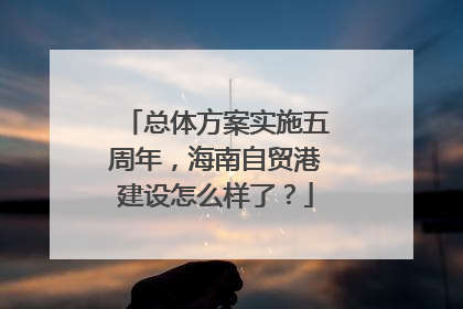 总体方案实施五周年，海南自贸港建设怎么样了？