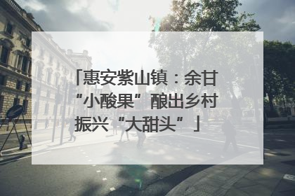 惠安紫山镇：余甘“小酸果”酿出乡村振兴“大甜头”